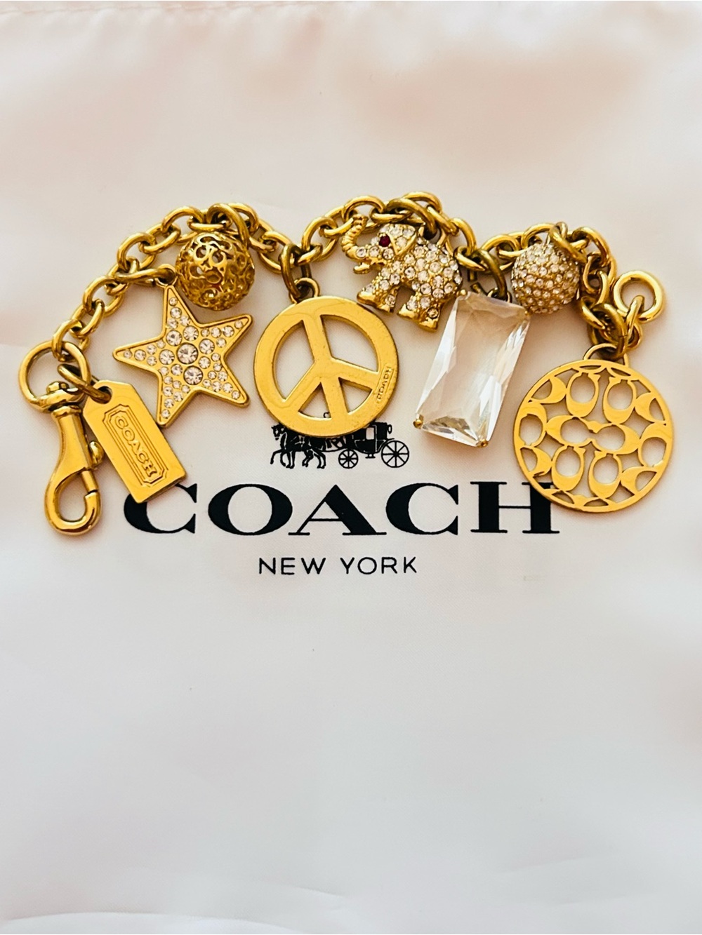 EXTREMELY RARE Coach Vintage Y2K Special Edition Charm Bracelet